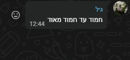הודעת WhatsApp מאת גיל חמוד עד חמוד מאוד בשעה 12:44